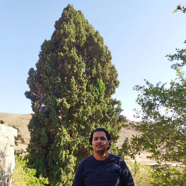 ابوالفضل پلوئی